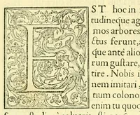An illustration from Pavli Iovii novocomensis Episcopi nucerini de vita Leonis Decimi Pont. Max. Libri Quatuor : his ordine temporum acce[ss]erunt Hadriani Sexti Pont. Max (1551)