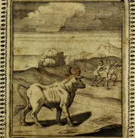An illustration from Pavli Macii Emblemata .. (1628)