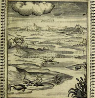 An illustration from Pavli Macii Emblemata .. (1628)