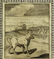 An illustration from Pavli Macii Emblemata .. (1628)