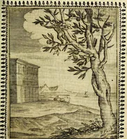 An illustration from Pavli Macii Emblemata .. (1628)