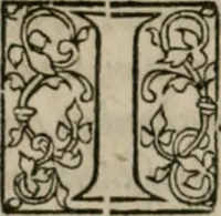 An illustration from P. Bellonii cenomani De arboribus coniferis, resiniferis, aliis quoque nonnullis sempiterna fronde virentibus, cum earundem iconibus ad viuum expressis : item de melle cedrino, cedria, agarico, resinis, & iis quae ex coniferis proficiscuntur (1553)