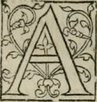 An illustration from P. Bellonii cenomani De arboribus coniferis, resiniferis, aliis quoque nonnullis sempiterna fronde virentibus, cum earundem iconibus ad viuum expressis : item de melle cedrino, cedria, agarico, resinis, & iis quae ex coniferis proficiscuntur (1553)