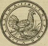 An illustration from P. Bellonii cenomani De arboribus coniferis, resiniferis, aliis quoque nonnullis sempiterna fronde virentibus, cum earundem iconibus ad viuum expressis : item de melle cedrino, cedria, agarico, resinis, & iis quae ex coniferis proficiscuntur (1553)