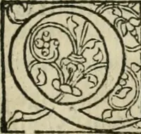 An illustration from P. Bellonii cenomani De arboribus coniferis, resiniferis, aliis quoque nonnullis sempiterna fronde virentibus, cum earundem iconibus ad viuum expressis : item de melle cedrino, cedria, agarico, resinis, & iis quae ex coniferis proficiscuntur (1553)