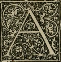 An illustration from P. Bellonii cenomani De arboribus coniferis, resiniferis, aliis quoque nonnullis sempiterna fronde virentibus, cum earundem iconibus ad viuum expressis : item de melle cedrino, cedria, agarico, resinis, & iis quae ex coniferis proficiscuntur (1553)