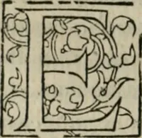 An illustration from P. Bellonii cenomani De arboribus coniferis, resiniferis, aliis quoque nonnullis sempiterna fronde virentibus, cum earundem iconibus ad viuum expressis : item de melle cedrino, cedria, agarico, resinis, & iis quae ex coniferis proficiscuntur (1553)