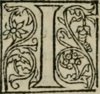 An illustration from P. Bellonii cenomani De arboribus coniferis, resiniferis, aliis quoque nonnullis sempiterna fronde virentibus, cum earundem iconibus ad viuum expressis : item de melle cedrino, cedria, agarico, resinis, & iis quae ex coniferis proficiscuntur (1553)