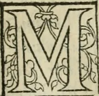 An illustration from P. Bellonii cenomani De arboribus coniferis, resiniferis, aliis quoque nonnullis sempiterna fronde virentibus, cum earundem iconibus ad viuum expressis : item de melle cedrino, cedria, agarico, resinis, & iis quae ex coniferis proficiscuntur (1553)
