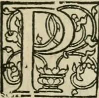 An illustration from P. Bellonii cenomani De arboribus coniferis, resiniferis, aliis quoque nonnullis sempiterna fronde virentibus, cum earundem iconibus ad viuum expressis : item de melle cedrino, cedria, agarico, resinis, & iis quae ex coniferis proficiscuntur (1553)
