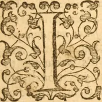 An illustration from A peaceable and temperate plea for Pavls Presbyterie in Scotland : or, a modest and brotherly dispute of the government of the Church of Scotland, wherein, our discipline is demonstrated to be the true Apostolick way of divine truth, and the arguments on the contrary are friendly dissolved, the grounds of separation and the indepencie of particular Congregations in defence of Ecclesiaticall Presbyteries, Synods and Assemblies, are examined and tryed (1642)