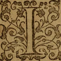 An illustration from A peaceable and temperate plea for Pavls Presbyterie in Scotland : or, a modest and brotherly dispute of the government of the Church of Scotland, wherein, our discipline is demonstrated to be the true Apostolick way of divine truth, and the arguments on the contrary are friendly dissolved, the grounds of separation and the indepencie of particular Congregations in defence of Ecclesiaticall Presbyteries, Synods and Assemblies, are examined and tryed (1642)