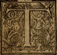 Picture 4 of 4 from A peaceable and temperate plea for Pavls Presbyterie in Scotland : or, a modest and brotherly dispute of the government of the Church of Scotland, wherein, our discipline is demonstrated to be the true Apostolick way of divine truth, and the arguments on the contrary are friendly dissolved, the grounds of separation and the indepencie of particular Congregations in defence of Ecclesiaticall Presbyteries, Synods and Assemblies, are examined and tryed (1642), leaf 22