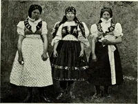 Picture 255 of 580 from Peasant art in Austria and Hungary (1911), leaf 146