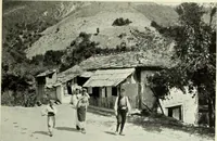 Picture 392 of 580 from Peasant art in Austria and Hungary (1911), leaf 198