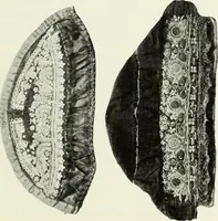 Picture 434 of 580 from Peasant art in Austria and Hungary (1911), leaf 226