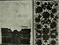 Picture 451 of 580 from Peasant art in Austria and Hungary (1911), leaf 234