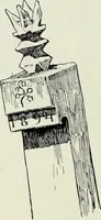 Picture 499 of 580 from Peasant art in Austria and Hungary (1911), leaf 255