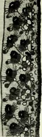 Picture 570 of 580 from Peasant art in Austria and Hungary (1911), leaf 294