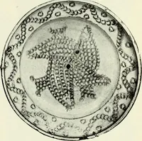 Picture 28 of 580 from Peasant art in Austria and Hungary (1911), leaf 56