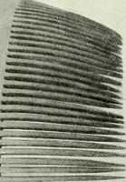 An illustration from Peasant art in Austria and Hungary (1911)