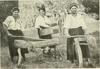Picture 239 of 408 from Peasant art in Russia (1912), leaf 146