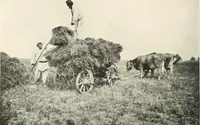 Picture 240 of 408 from Peasant art in Russia (1912), leaf 147
