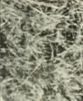 An illustration from Peasant art in Russia (1912)