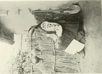 Picture 249 of 408 from Peasant art in Russia (1912), leaf 151