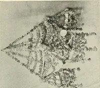 Picture 375 of 408 from Peasant art in Russia (1912), leaf 222