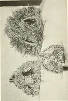 Picture 376 of 408 from Peasant art in Russia (1912), leaf 222