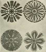 An illustration from Peasant art in Russia (1912)