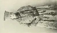 An illustration from Peasant art in Russia (1912)