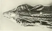 An illustration from Peasant art in Russia (1912)