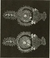 Picture 108 of 408 from Peasant art in Russia (1912), leaf 81