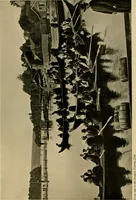 Picture 343 of 434 from Peasant art in Sweden, Lapland and Iceland; (1910), leaf 168