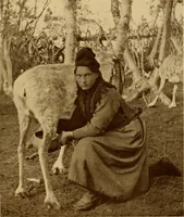 Picture 346 of 434 from Peasant art in Sweden, Lapland and Iceland; (1910), leaf 178