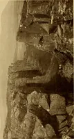 Picture 378 of 434 from Peasant art in Sweden, Lapland and Iceland; (1910), leaf 197