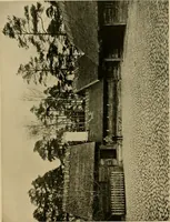 Picture 7 of 434 from Peasant art in Sweden, Lapland and Iceland; (1910), leaf 52