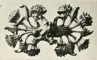 Picture 238 of 479 from Peasant art in Sweden, Lapland and Iceland (1910), leaf 129