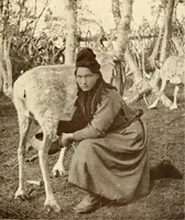 Picture 381 of 479 from Peasant art in Sweden, Lapland and Iceland (1910), leaf 210