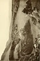 Picture 418 of 479 from Peasant art in Sweden, Lapland and Iceland (1910), leaf 240