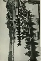 An illustration from Peasant art in Sweden, Lapland and Iceland; (1910)