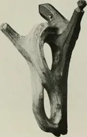 An illustration from Peasant art in Sweden, Lapland and Iceland; (1910)