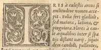 An illustration from Pedanii Dioscoridis Anazarbei De medica materia libri sex, Ioanne Ruellio Suessionensi interprete, nunc primum ab ipso Ruellio recogniti, & suo nitori restituti (1537)