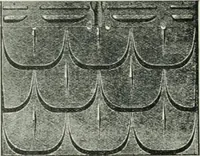 An illustration from Pedlar fireproofing products : catalogue no. 19R. -- (1911)