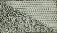 An illustration from Pedlar fireproofing products : catalogue no. 19R. -- (1911)