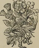 An illustration from The peerage, baronetage, and knightage of the British Empire : for 1882 (1883)
