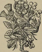 An illustration from The peerage, baronetage, and knightage of the British Empire : for 1882 (1883)