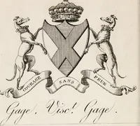 Picture 17 of 25 from The peerage of Ireland : or, A genealogical history of the present nobility of that kingdom (1789), leaf 25